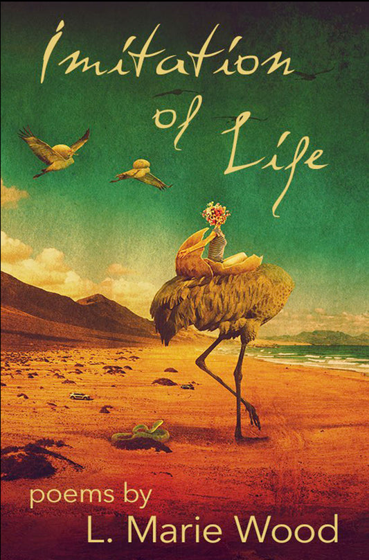 Imitation of Life Paperback