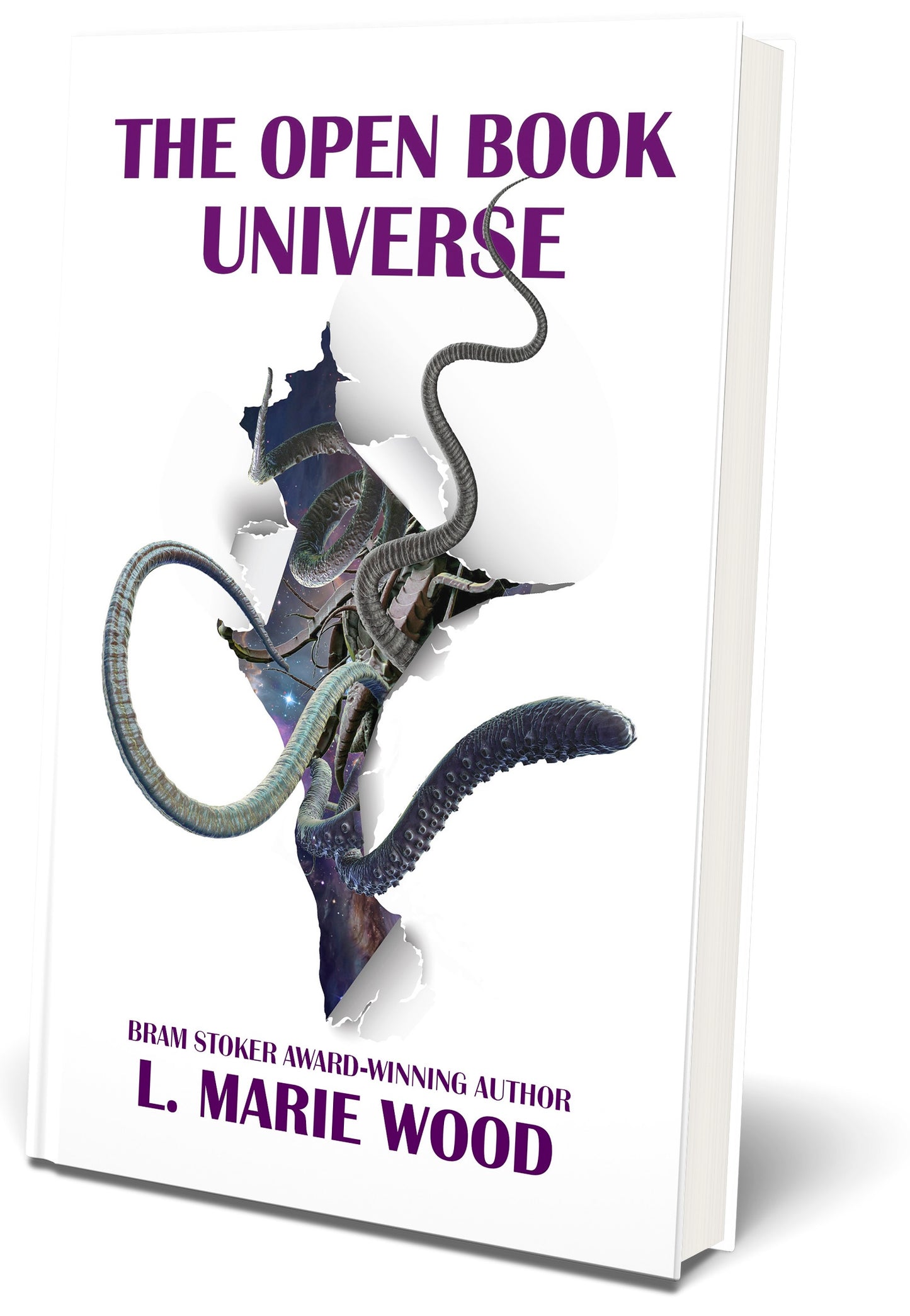 The Open Book Universe
