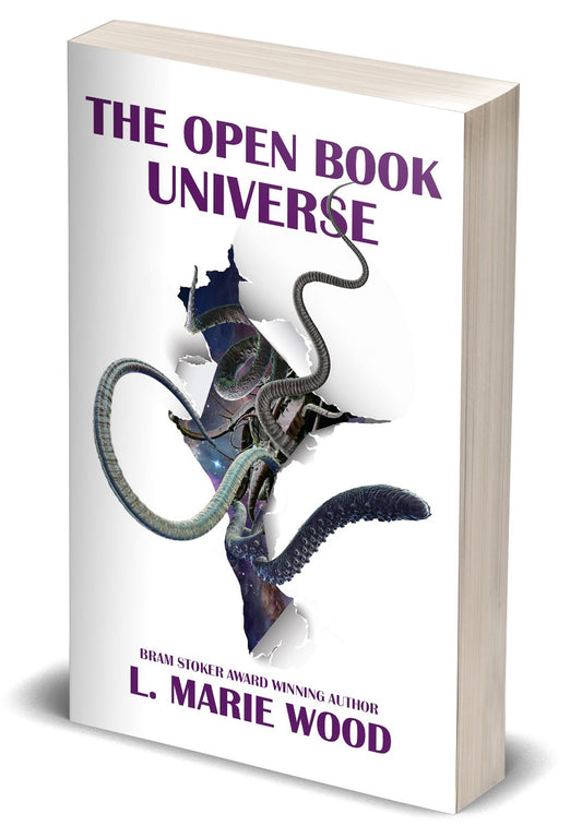 The Open Book Universe