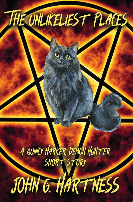 The Unlikeliest Places ebook