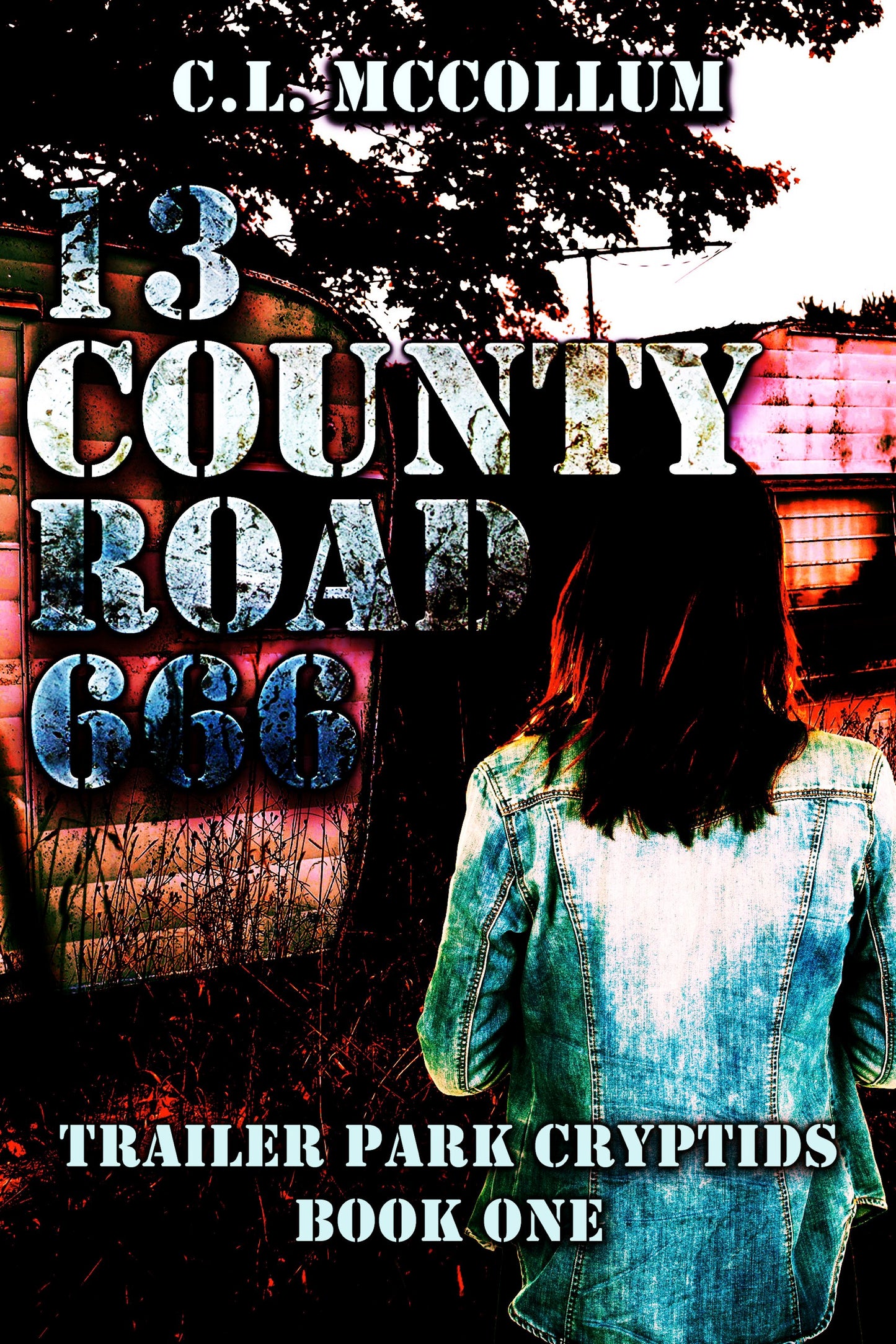 13 County Road 666 ebook