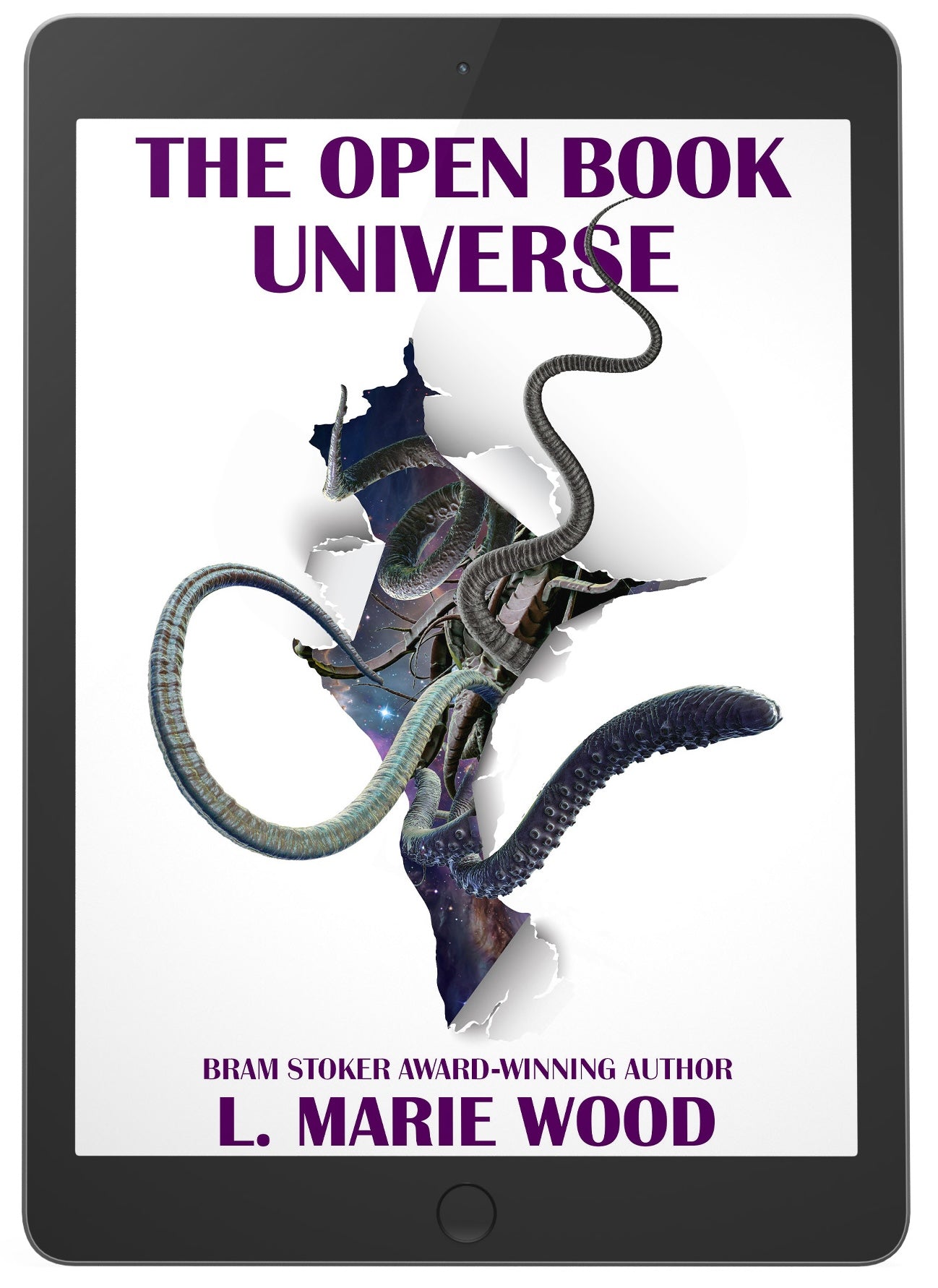 The Open Book Universe