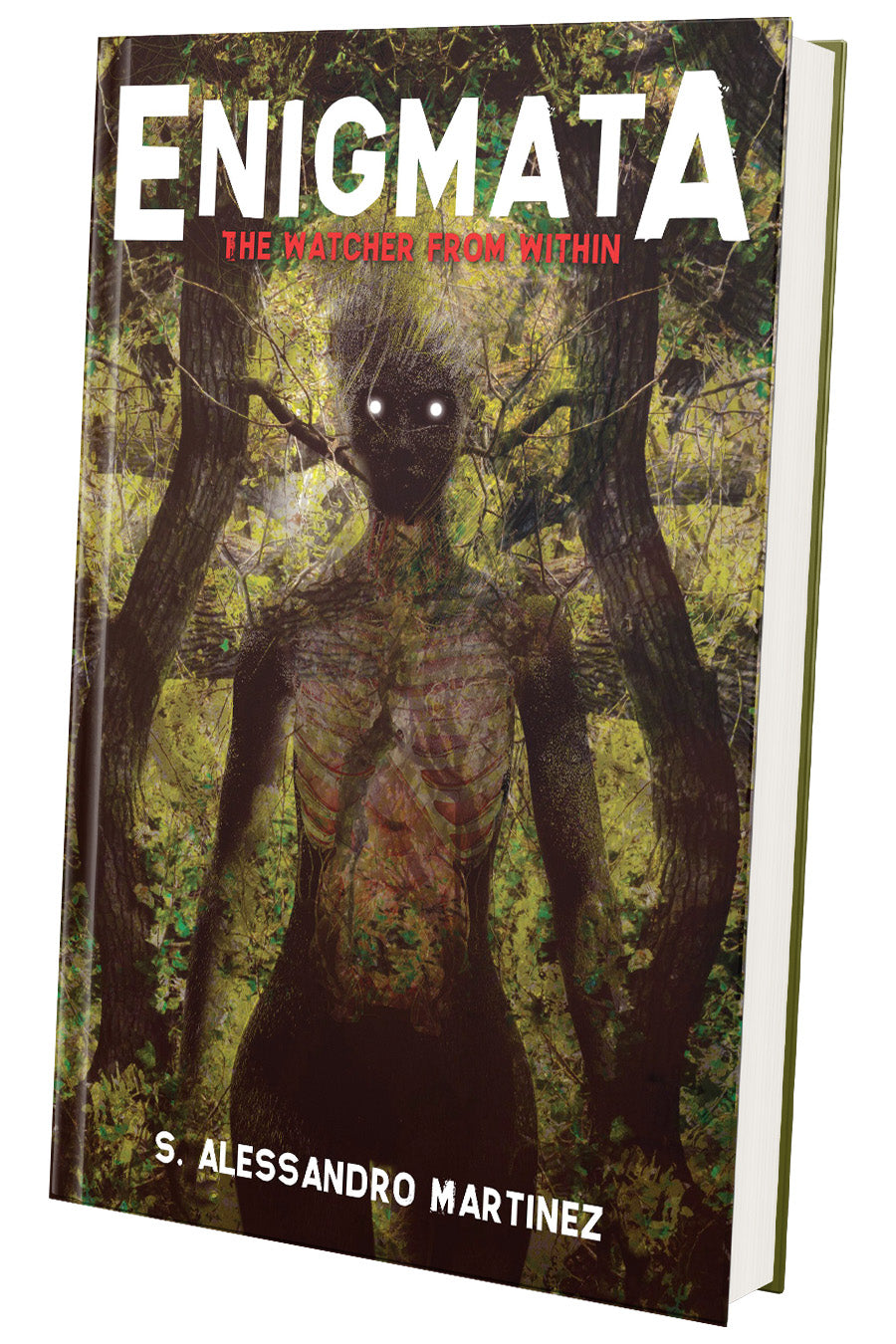 Enigmata: The Watcher from Within