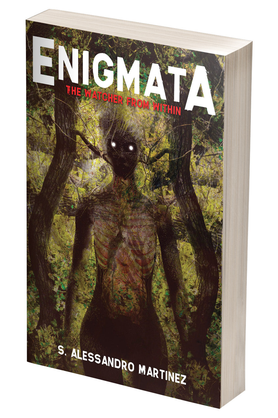 Enigmata: The Watcher from Within